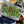 EAGLES Double Stack Team Applique Design