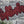 Highlanders Double Stack Applique Design