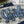 Sharks Double Stack Applique Design